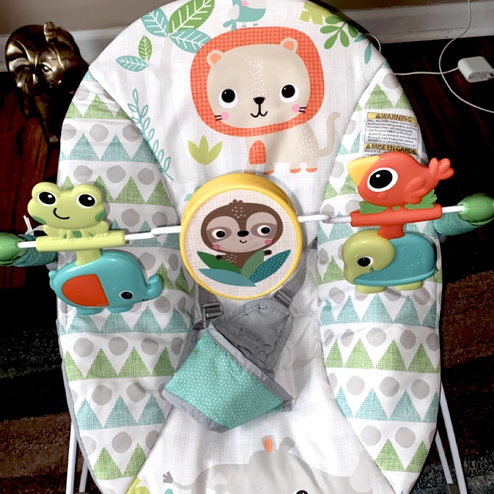 Bright Starts Portable Baby Bouncer 🍼